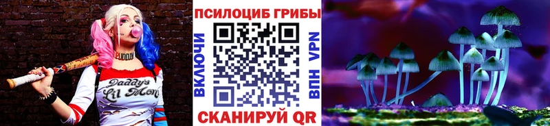 Псилоцибиновые грибы Psilocybine cubensis  KRAKEN ТОР  Абинск 