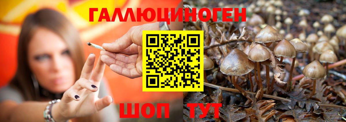 Псилоцибиновые грибы MAGIC MUSHROOMS Абинск